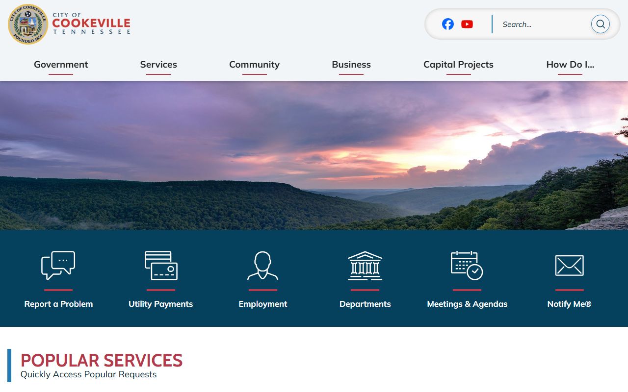 Cookeville Criminal History city site