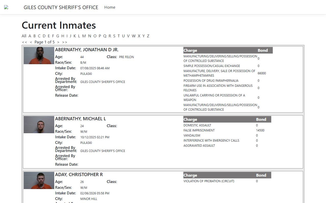 Giles County Criminal History ISOMS portal
