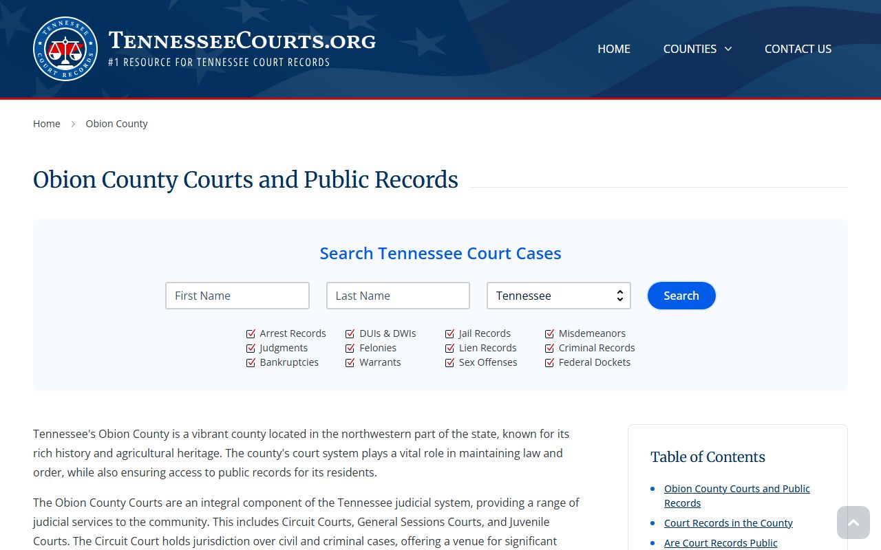 Obion County criminal history court source