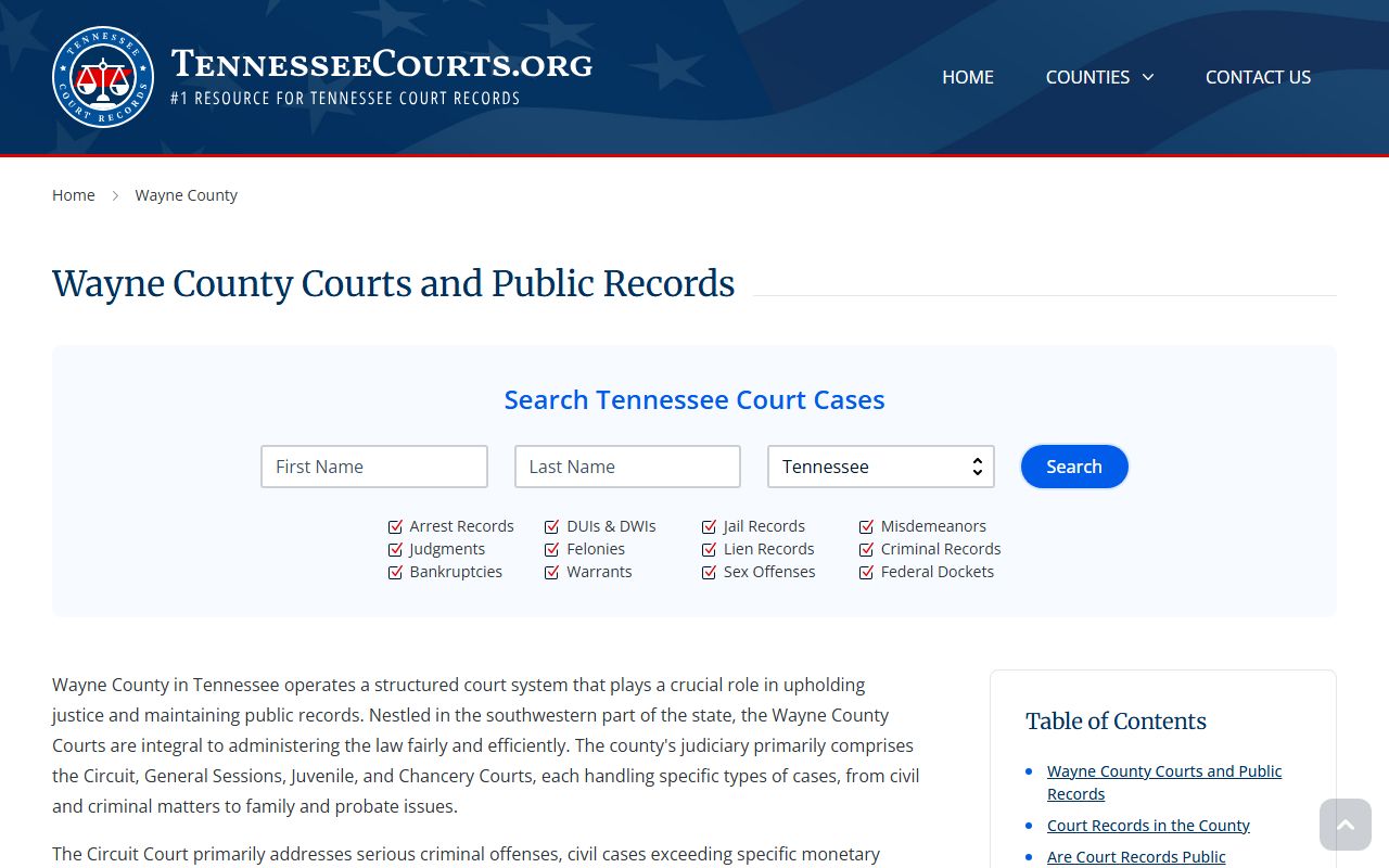 Wayne County Criminal History county courts